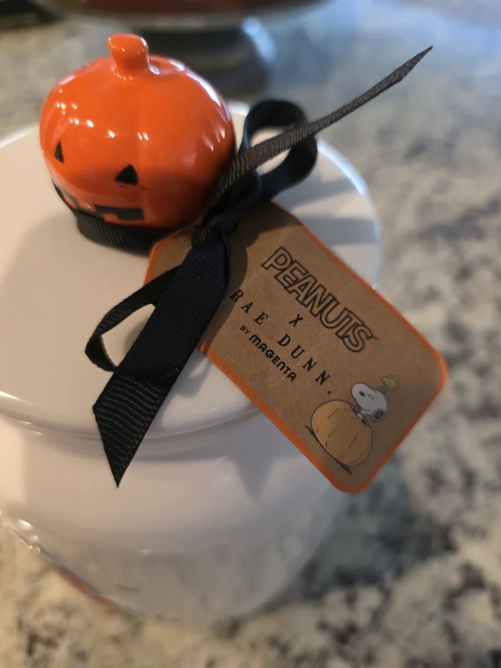 Peanuts X Rae Dunn Ceramic Canister with Pumpkin Lid - White & Orange
